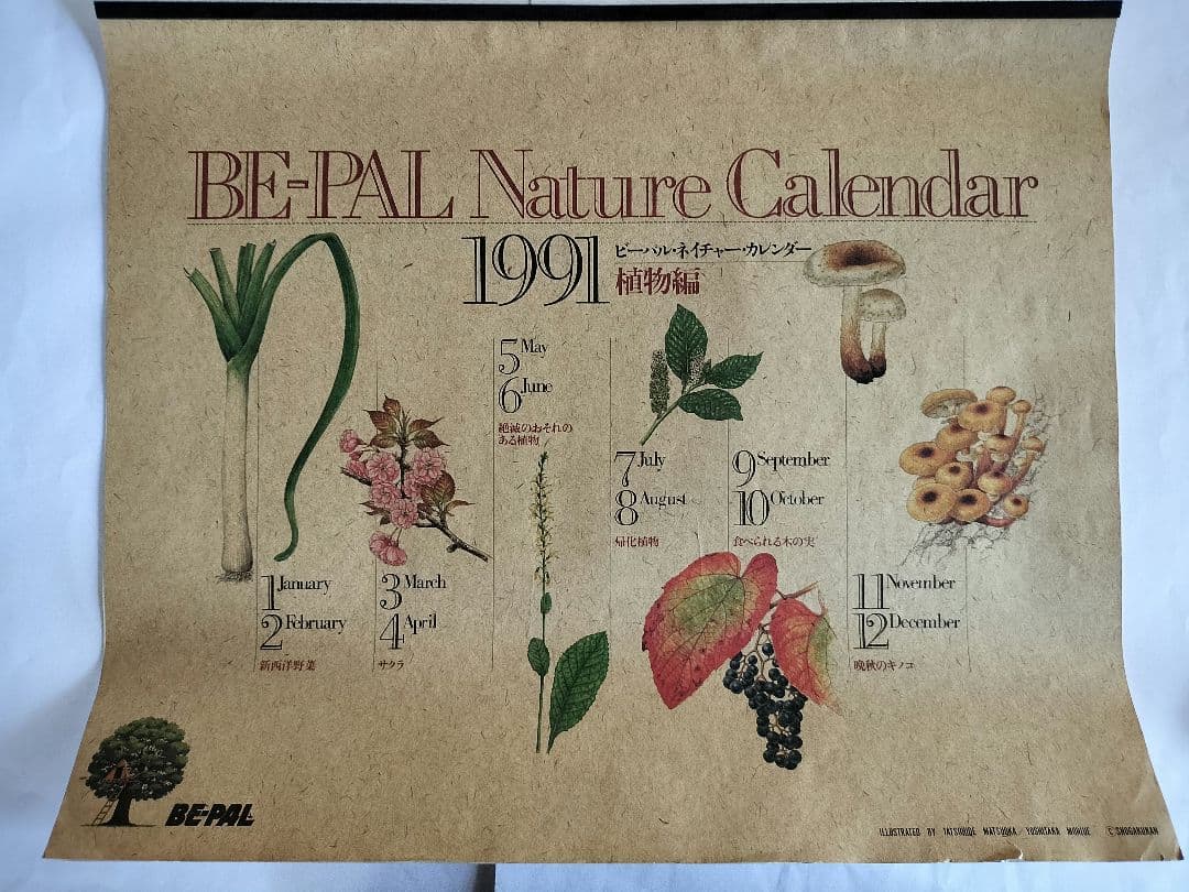 BE-PAL ビーパル カレンダー 新品未使用 1991年植物編 ヴィンテージ
